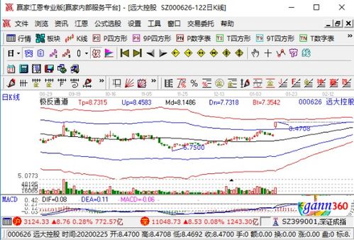 遠(yuǎn)達(dá)控股強(qiáng)勢(shì)漲停，業(yè)績大幅預(yù)增與國內(nèi)貿(mào)易代理業(yè)務(wù)成關(guān)鍵驅(qū)動(dòng)力